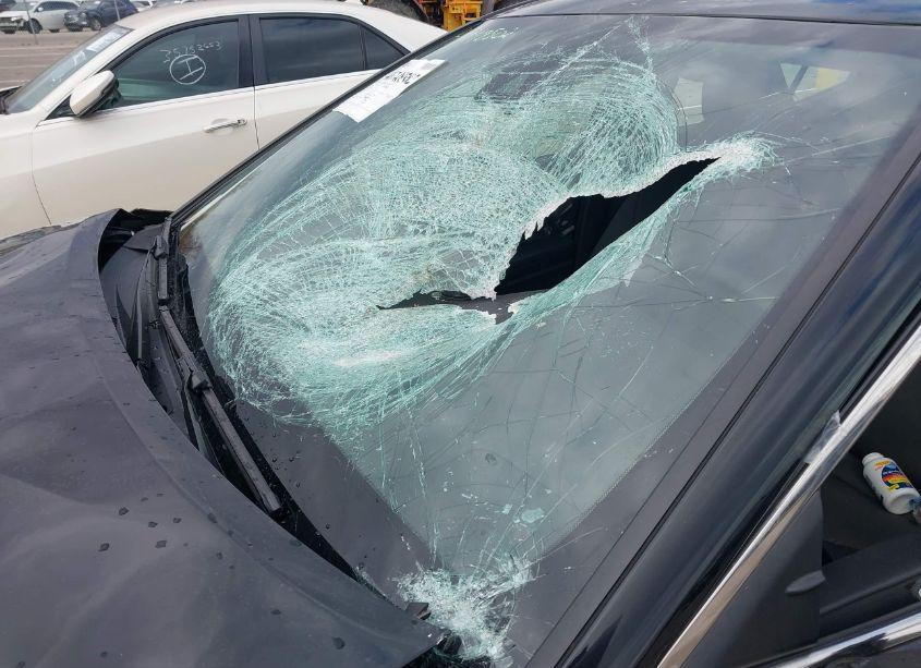 Photo 18 of 2021 Toyota Camry LE (VIN 4T1C11AK2MU555168)