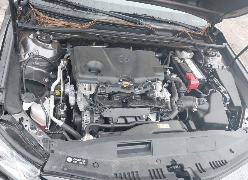 Photo 10 of 2020 Toyota Camry LE (VIN 4T1C11AK3LU889126)
