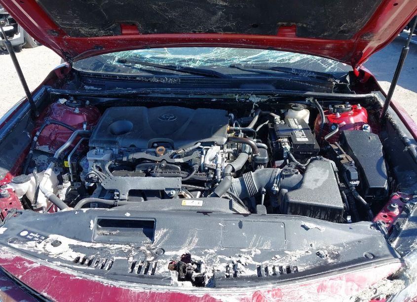 Photo 10 of 2020 Toyota Camry LE (VIN 4T1C11AK4LU321631)