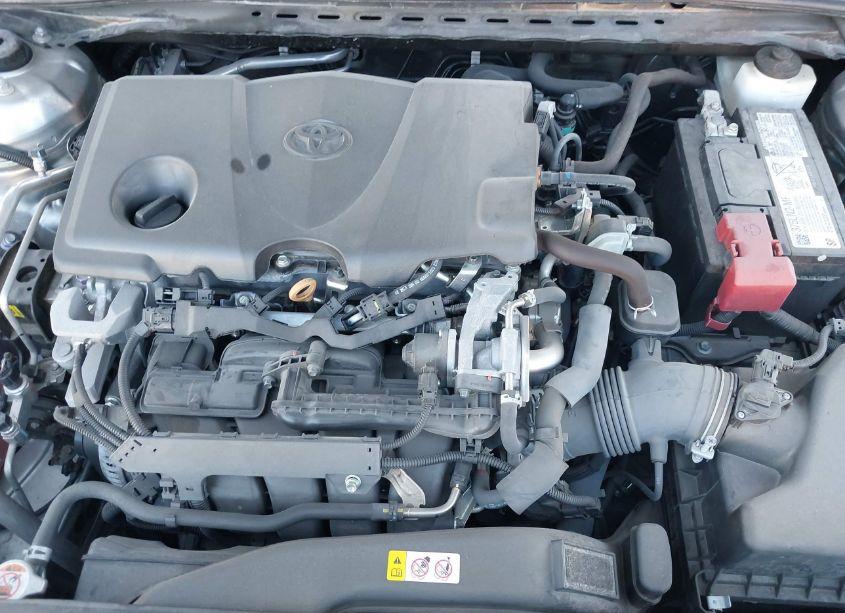 Photo 10 of 2020 Toyota Camry LE (VIN 4T1C11AK4LU507282)
