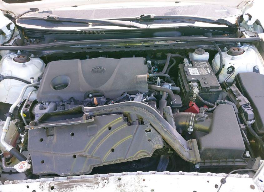 Photo 10 of 2020 Toyota Camry LE (VIN 4T1C11AK5LU311111)