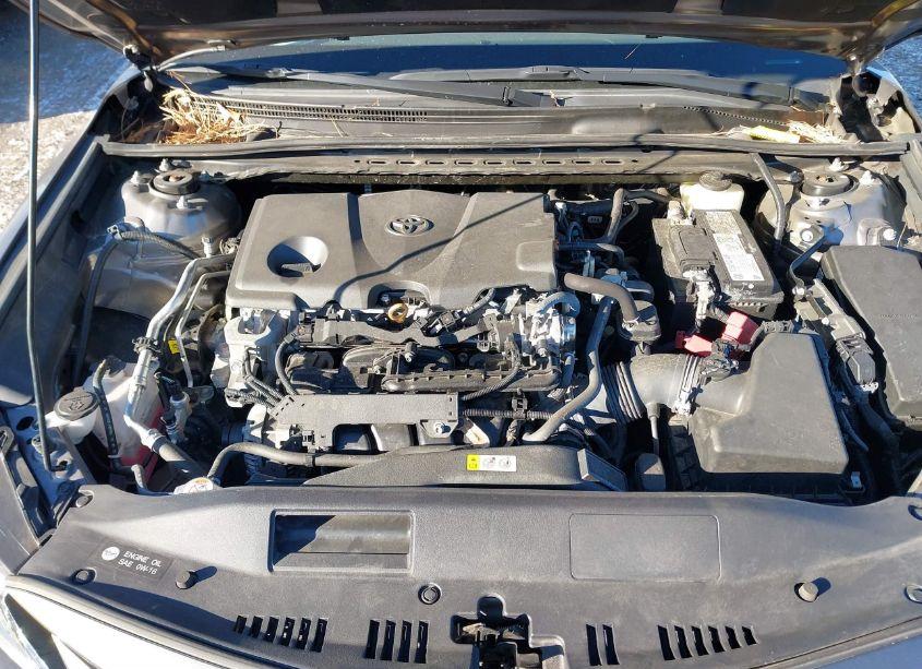 Photo 10 of 2021 Toyota Camry LE (VIN 4T1C11AK6MU616117)