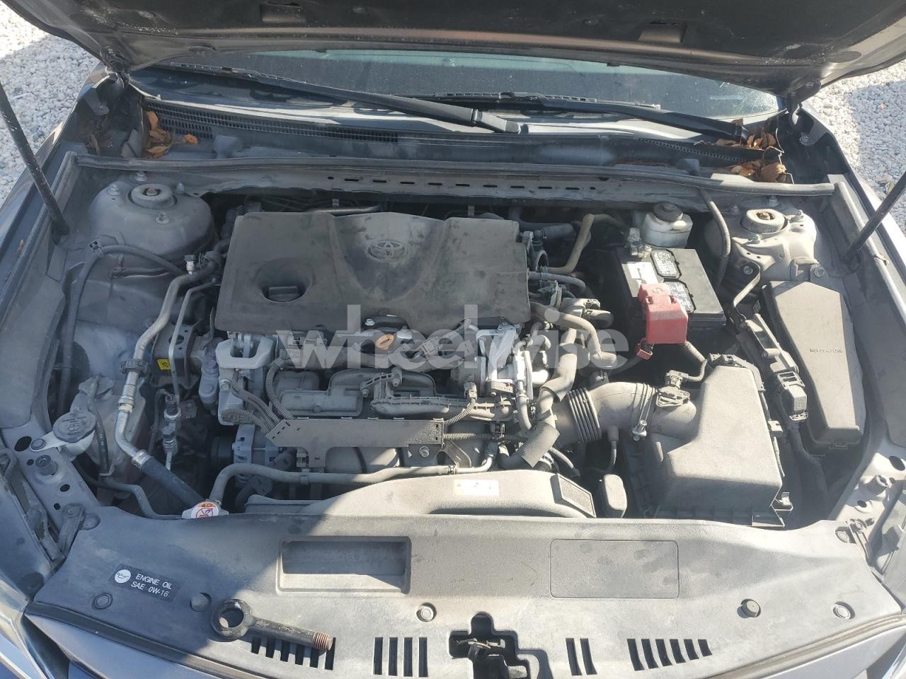 Photo 11 of 2020 TOYOTA CAMRY LE (VIN 4T1C11AK7LU904534)