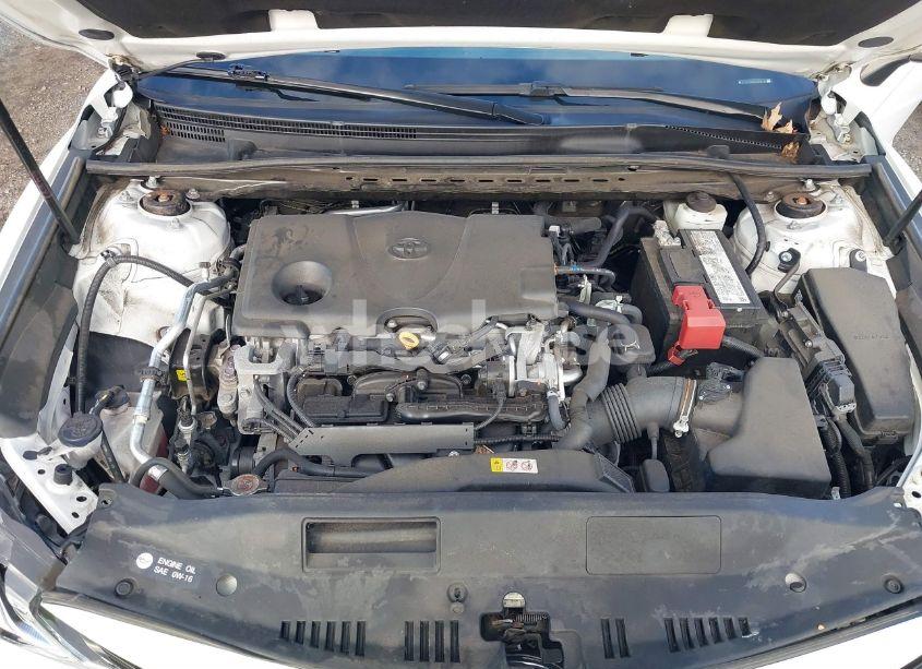 Photo 10 of 2020 Toyota Camry LE (VIN 4T1C11AK8LU959137)