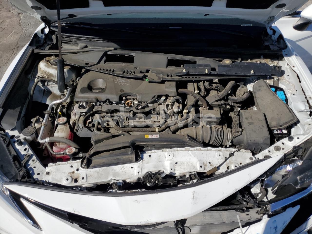 Photo 11 of 2022 TOYOTA CAMRY LE (VIN 4T1C31AK2NU575058)