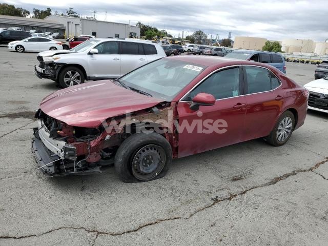 2020 TOYOTA CAMRY LE (VIN 4T1C31AK3LU534774) main photo