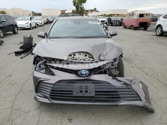 2024 TOYOTA CAMRY LE (VIN 4T1C31AK9RU628392) main photo