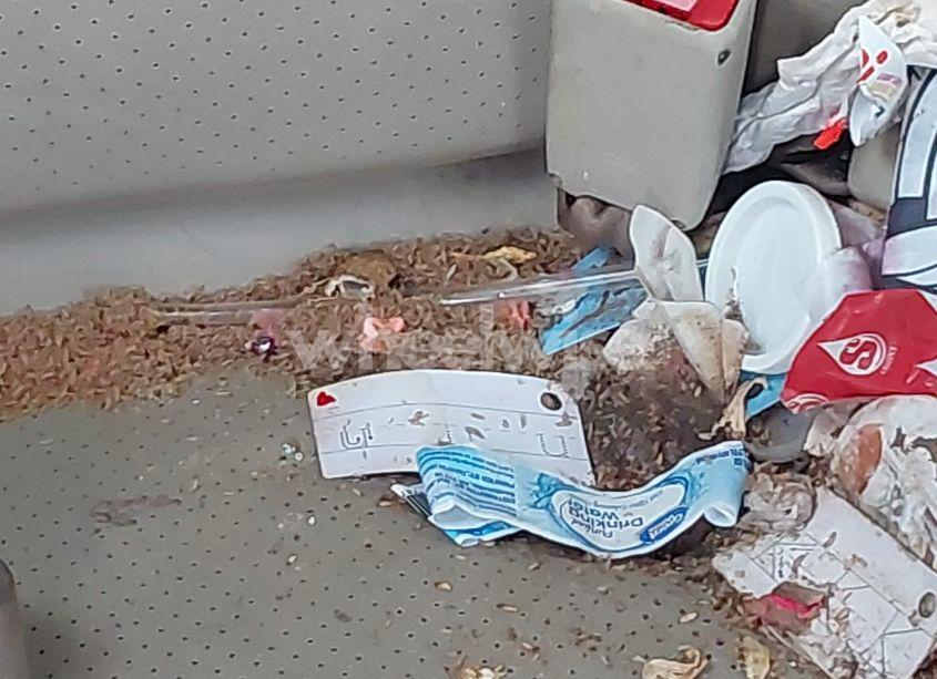 Photo 11 of 2004 Toyota Camry SOLARA SE (VIN 4T1CE38P14U822768)