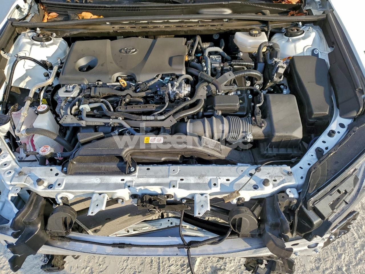 Photo 11 of 2025 TOYOTA CAMRY XSE (VIN 4T1DAACK5SU066536)