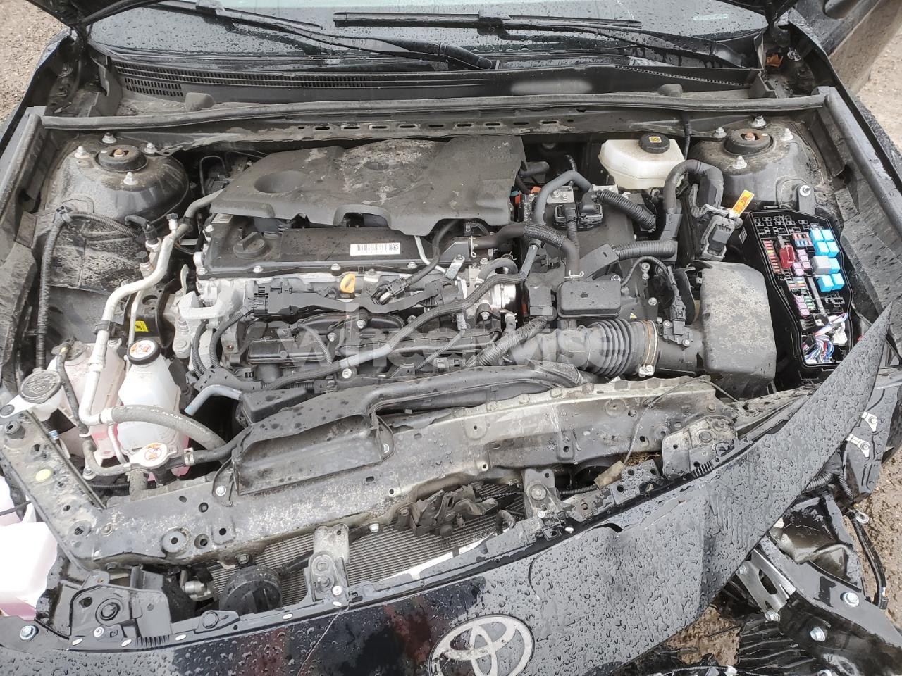 Photo 11 of 2025 TOYOTA CAMRY XSE (VIN 4T1DBADK2SU006094)