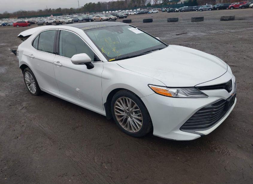 2020 Toyota Camry XLE (VIN 4T1F11AK0LU349181) main photo