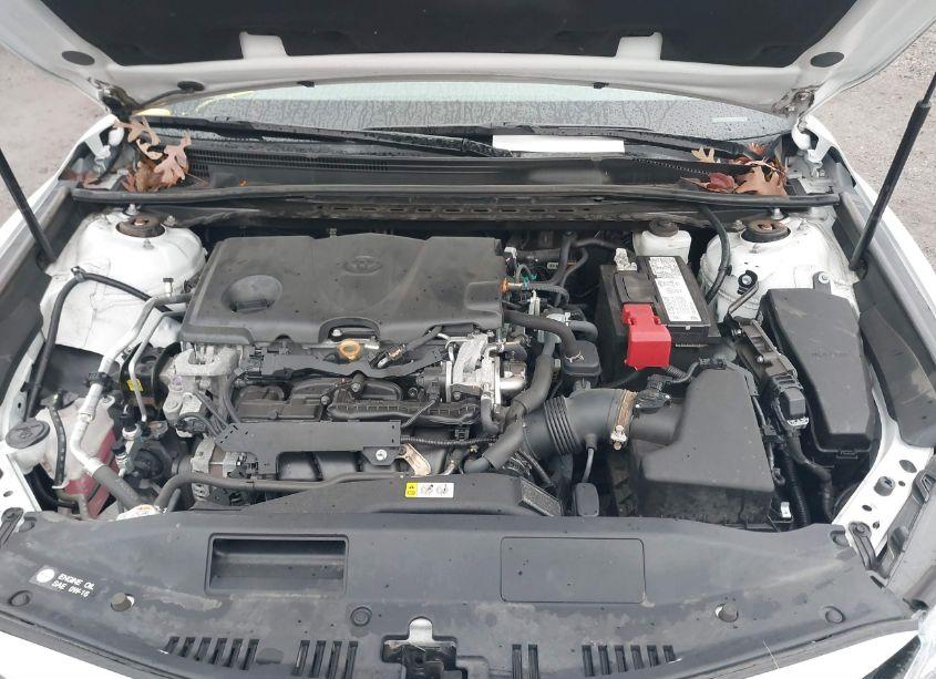 Photo 10 of 2020 Toyota Camry XLE (VIN 4T1F11AK0LU349181)