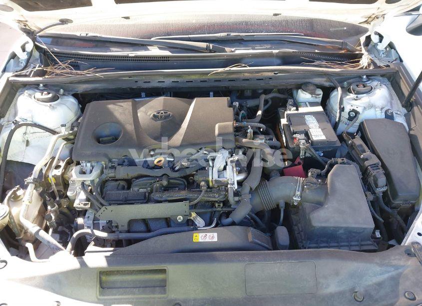 Photo 10 of 2020 Toyota Camry XLE (VIN 4T1F11AKXLU337586)