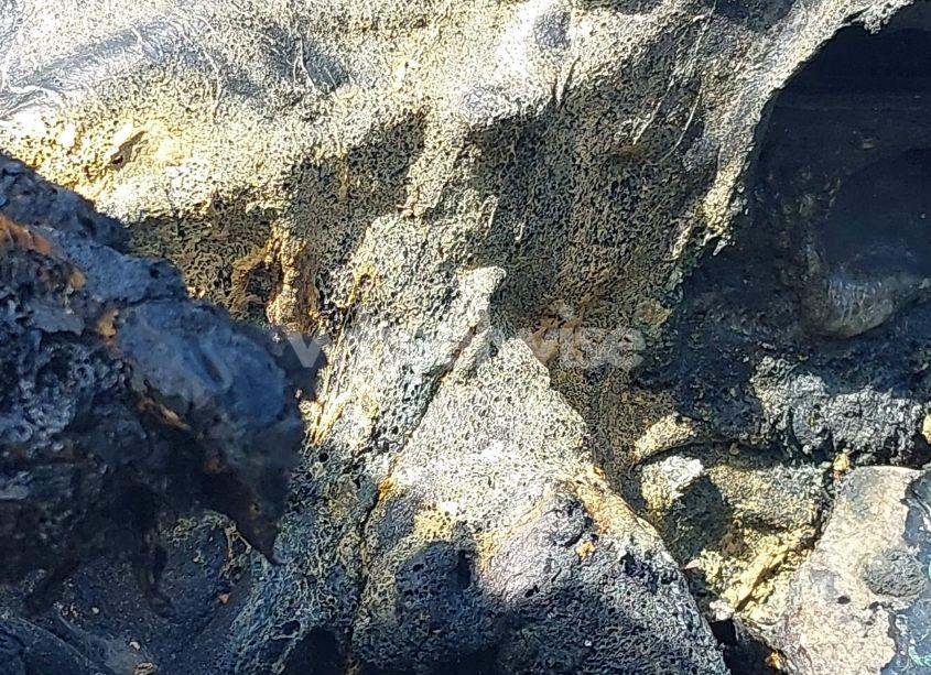 Photo 14 of 2022 Toyota Camry XLE AWD (VIN 4T1F11BK3NU054495)