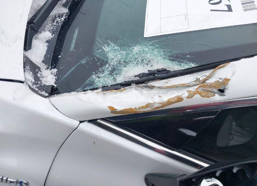 Photo 20 of 2020 Toyota Camry XLE HYBRID (VIN 4T1F31AK1LU537475)