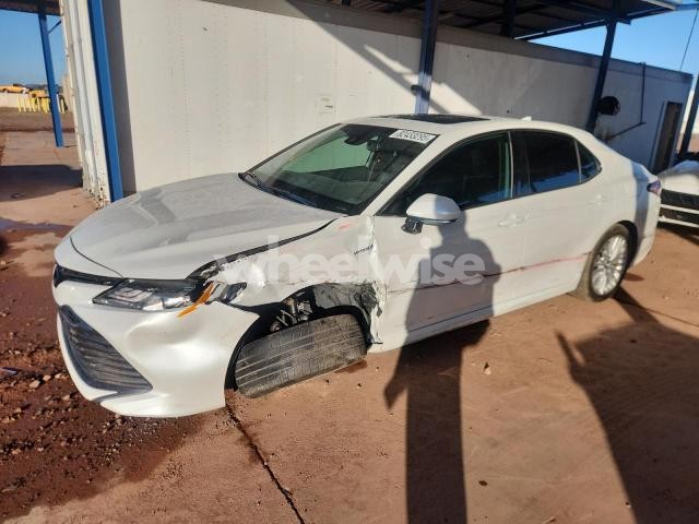 2020 TOYOTA CAMRY XLE (VIN 4T1F31AK2LU523326) main photo