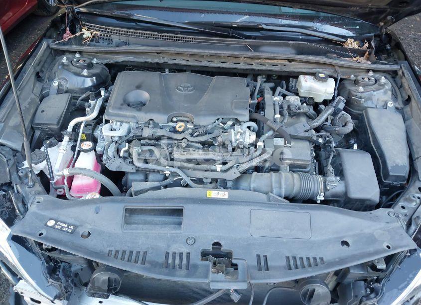 Photo 10 of 2021 Toyota Camry XLE (VIN 4T1F31AK3MU567319)