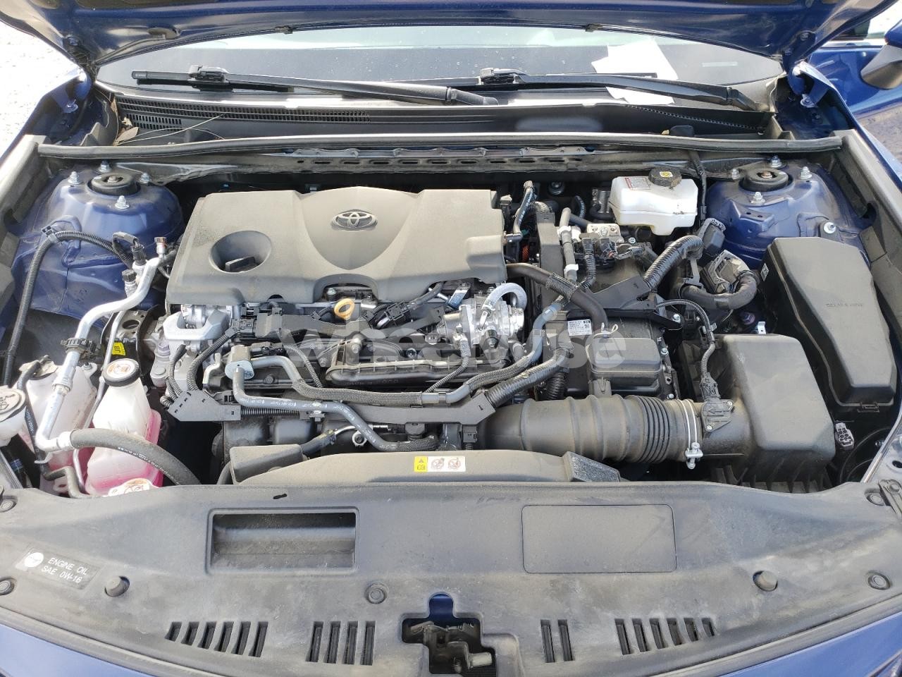 Photo 11 of 2024 TOYOTA CAMRY XLE (VIN 4T1F31AK8RU063095)