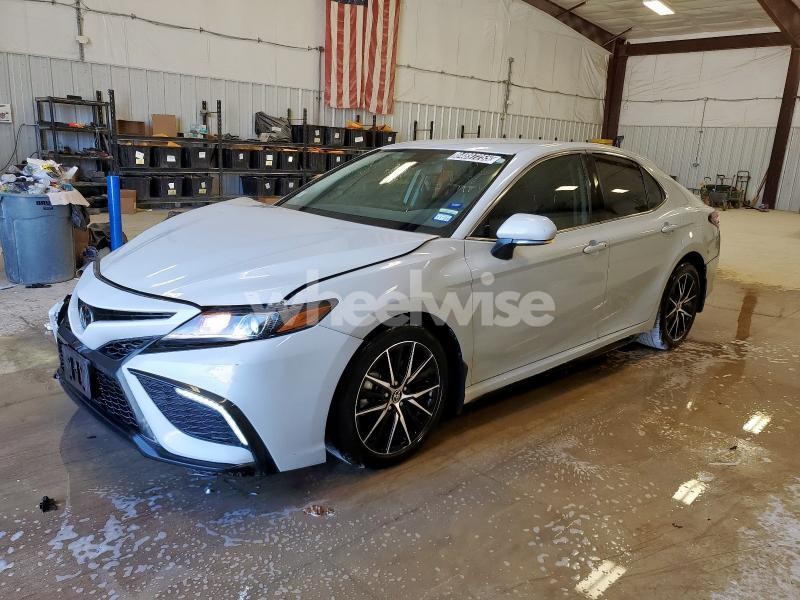 2024 TOYOTA CAMRY SE NIGHT SHADE (VIN 4T1G11AK0RU213842) main photo