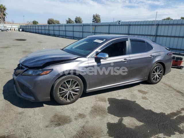 Photo 9 of 2024 TOYOTA CAMRY SE NIGHT SHADE (VIN 4T1G11AK2RU206634)