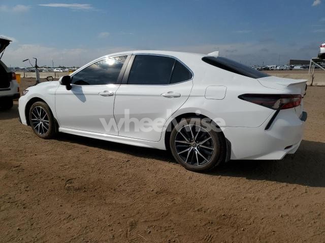 Photo 5 of 2024 TOYOTA CAMRY SE NIGHT SHADE (VIN 4T1G11AK2RU920229)
