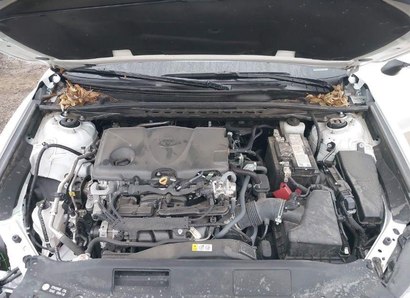 Photo 10 of 2023 Toyota Camry SE (VIN 4T1G11AK4PU776406)