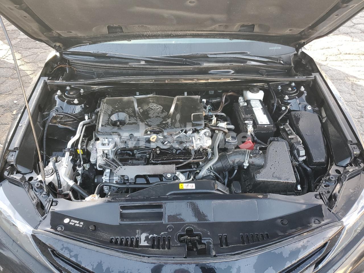 Photo 11 of 2024 TOYOTA CAMRY SE NIGHT SHADE (VIN 4T1G11AK4RU241448)