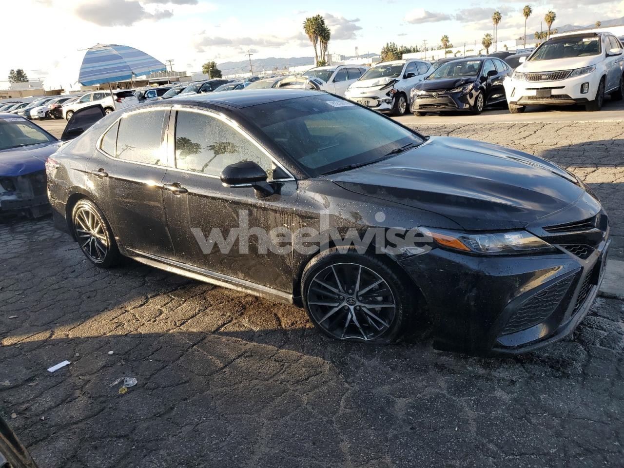 Photo 4 of 2024 TOYOTA CAMRY SE NIGHT SHADE (VIN 4T1G11AK4RU241448)