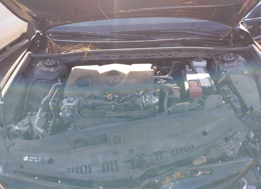 Photo 10 of 2024 Toyota Camry SE (VIN 4T1G11AK6RU844577)