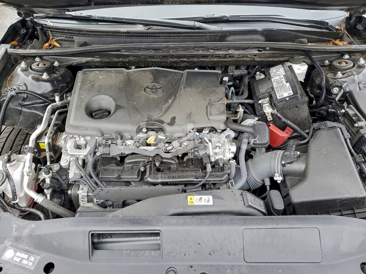 Photo 11 of 2024 TOYOTA CAMRY SE NIGHT SHADE (VIN 4T1G11AK7RU246465)