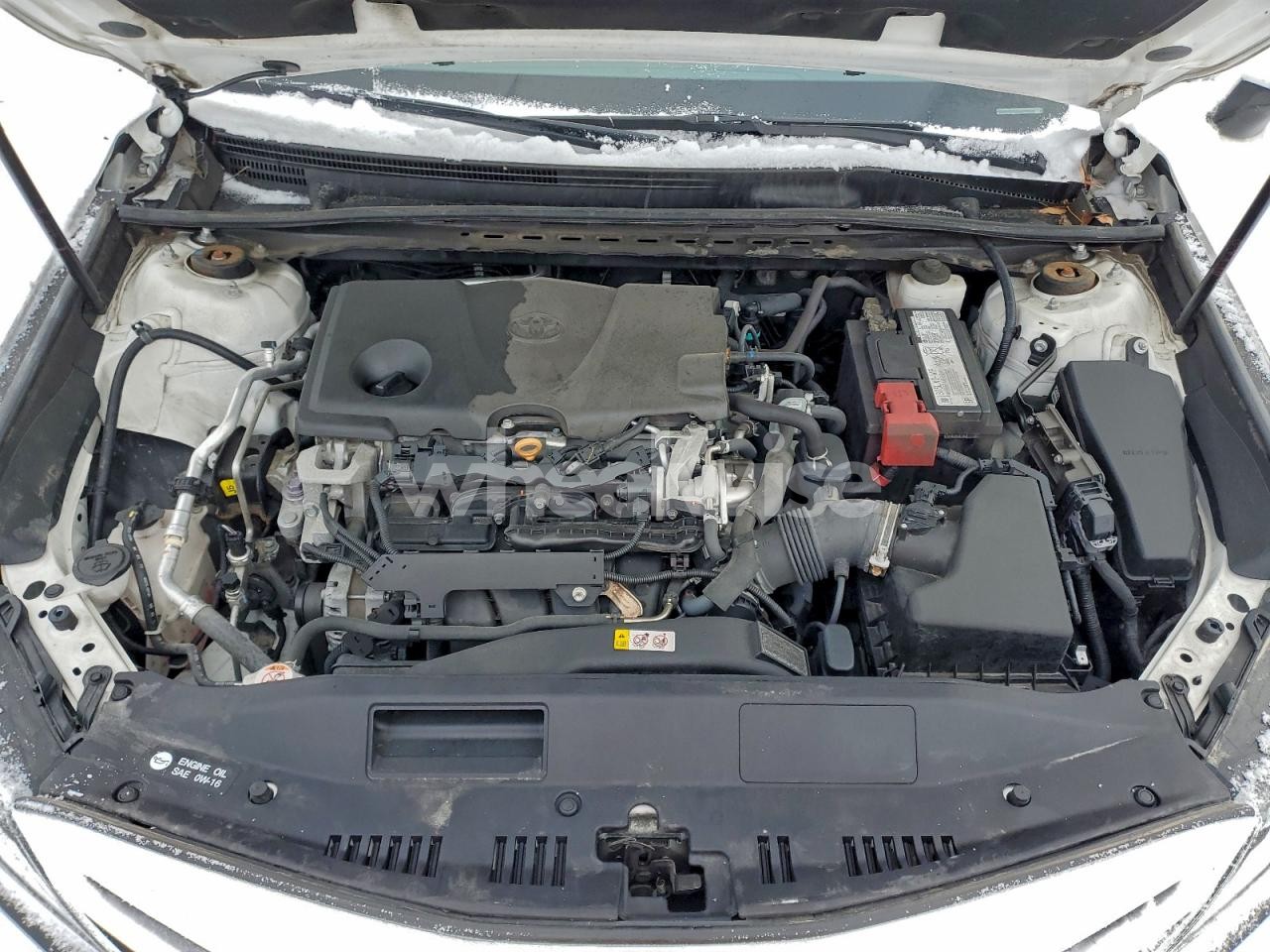 Photo 11 of 2020 TOYOTA CAMRY SE (VIN 4T1G11AK8LU888877)