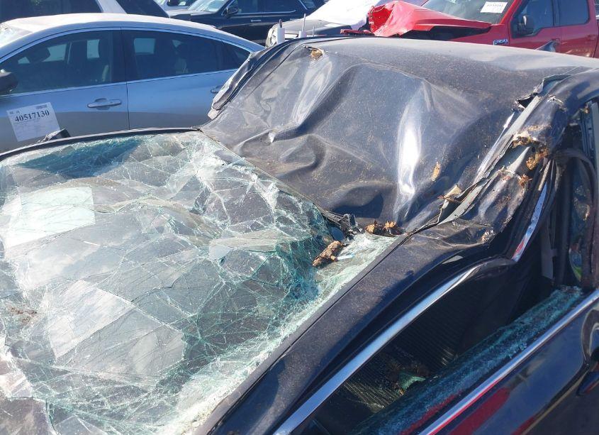 Photo 6 of 2021 Toyota Camry SE (VIN 4T1G11AK8MU465329)