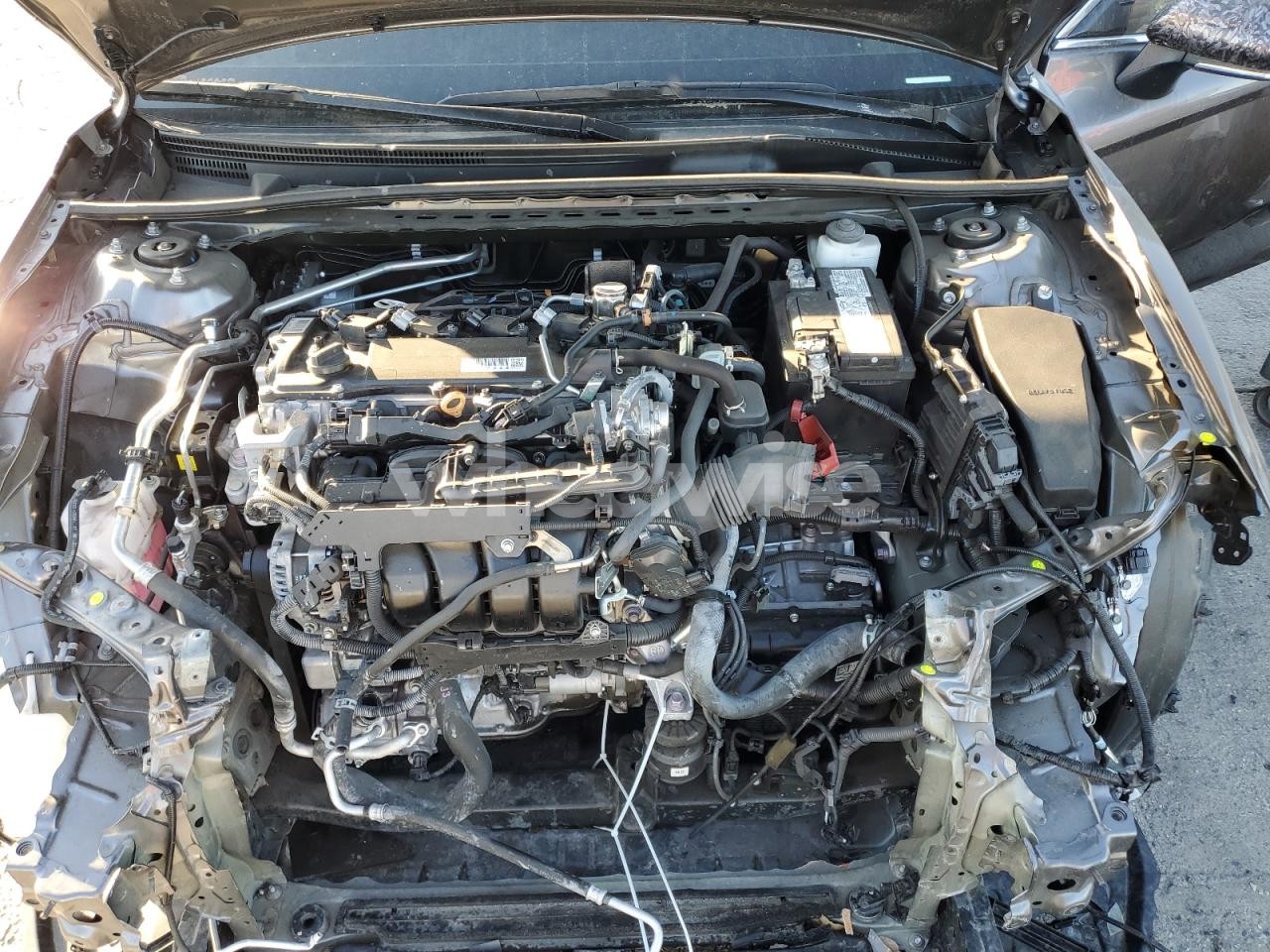 Photo 11 of 2024 TOYOTA CAMRY SE NIGHT SHADE (VIN 4T1G11AKXRU907809)