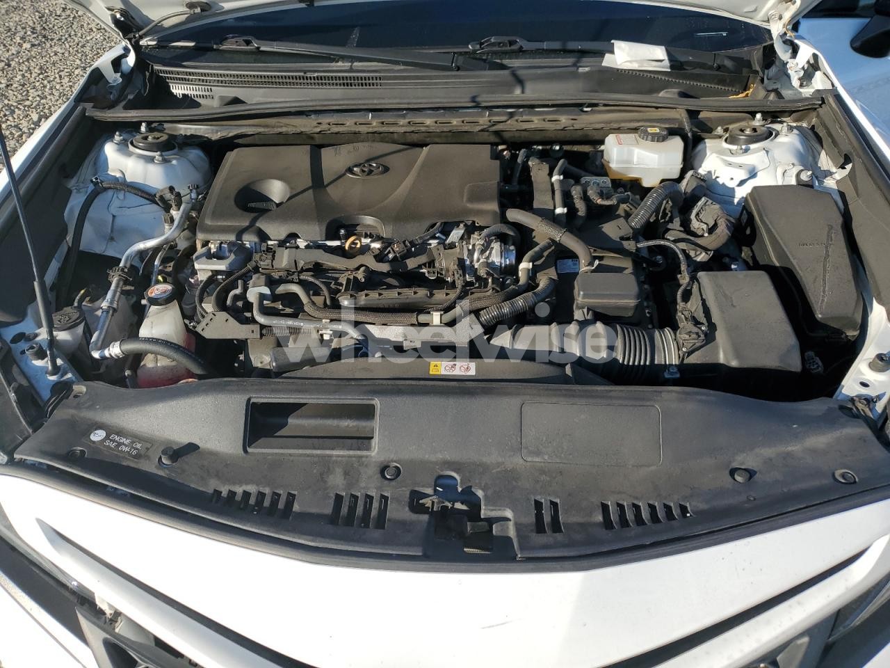 Photo 11 of 2022 TOYOTA CAMRY NIGHT SHADE (VIN 4T1G31AK9NU034350)