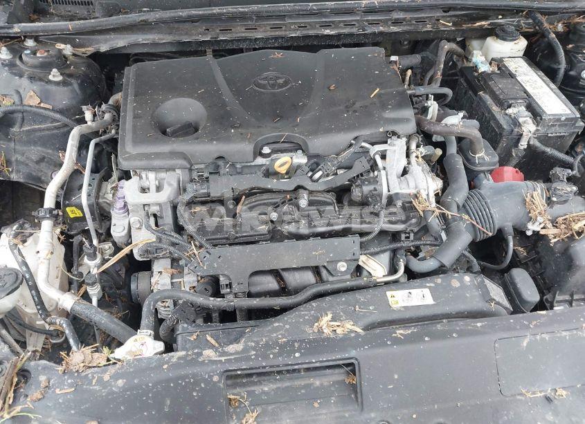 Photo 10 of 2020 Toyota Camry XSE (VIN 4T1K61AK7LU891894)