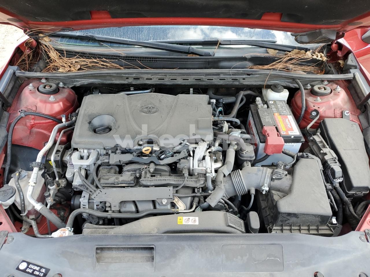 Photo 11 of 2020 TOYOTA CAMRY XSE (VIN 4T1K61AK9LU301338)