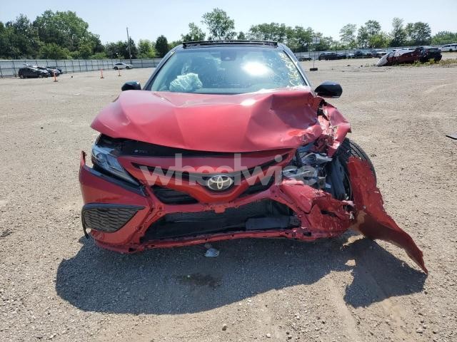Photo 10 of 2024 TOYOTA CAMRY XSE (VIN 4T1K61BKXRU121955)