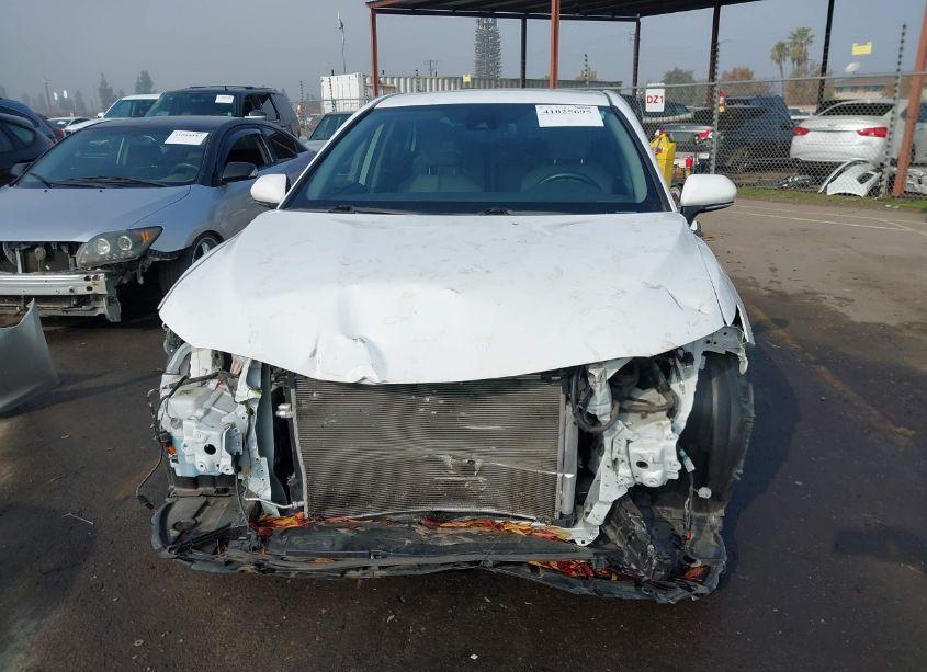 Photo 13 of 2020 Toyota Camry SE AWD (VIN 4T1M11BK2LU019032)