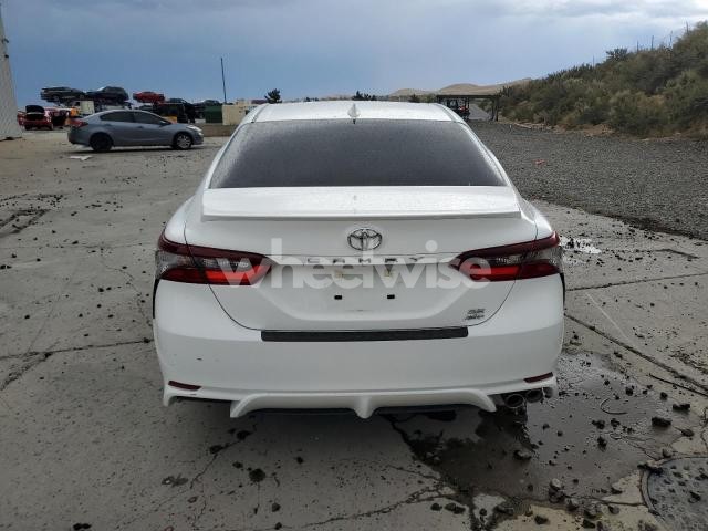 2024 TOYOTA CAMRY SE NIGHT SHADE (VIN 4T1S11BK8RU119359) main photo