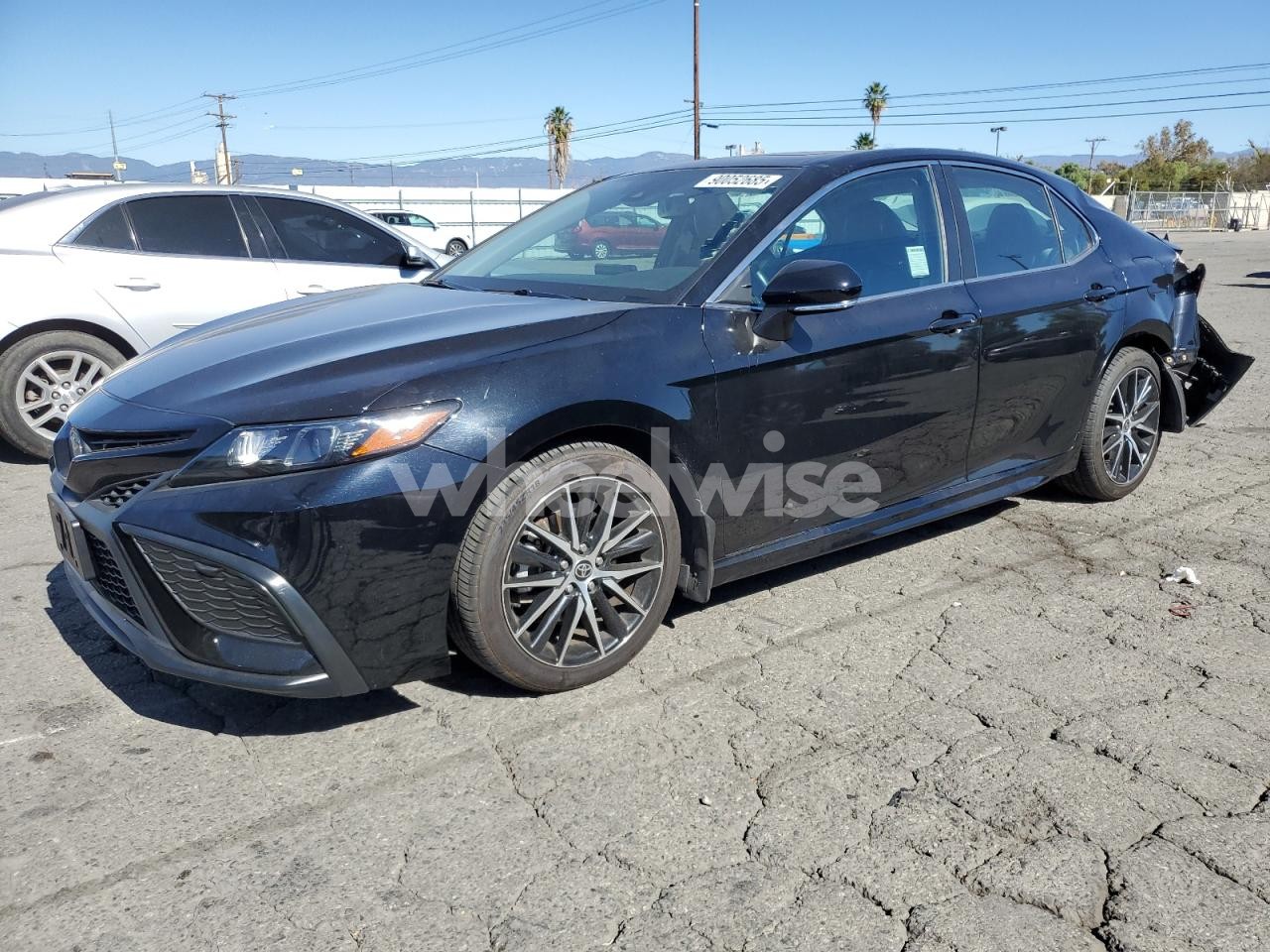 2022 TOYOTA CAMRY NIGHT SHADE (VIN 4T1S31AK4NU583108) main photo