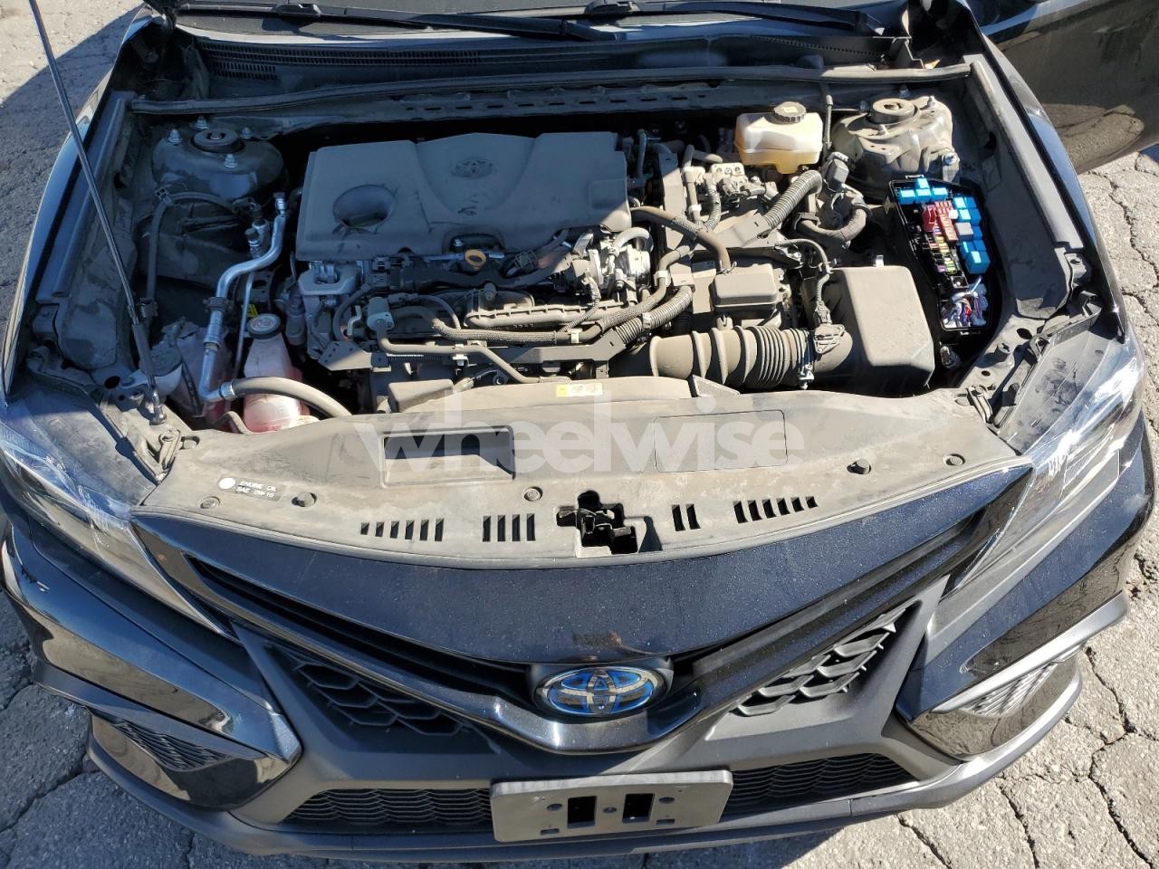 Photo 11 of 2022 TOYOTA CAMRY NIGHT SHADE (VIN 4T1S31AK4NU583108)