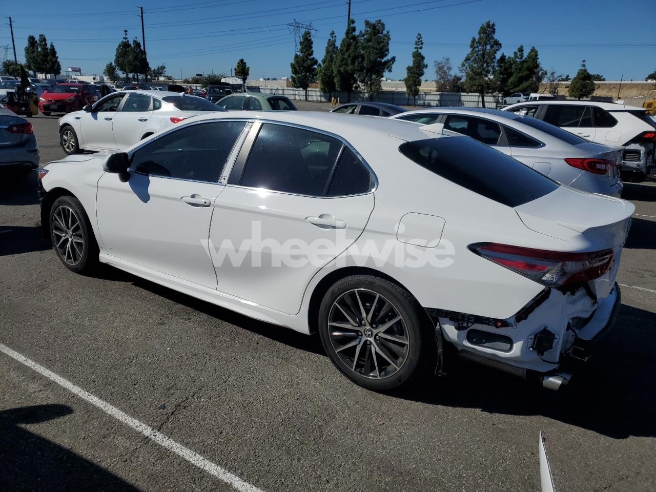 Photo 2 of 2023 TOYOTA CAMRY SE NIGHT SHADE (VIN 4T1S31AK7PU046333)