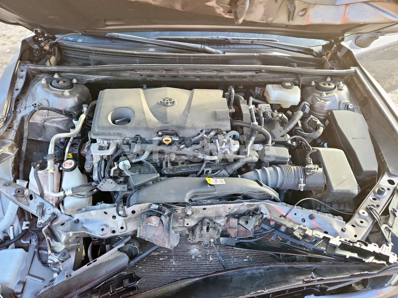 Photo 11 of 2023 TOYOTA CAMRY SE NIGHT SHADE (VIN 4T1S31AK9PU603548)