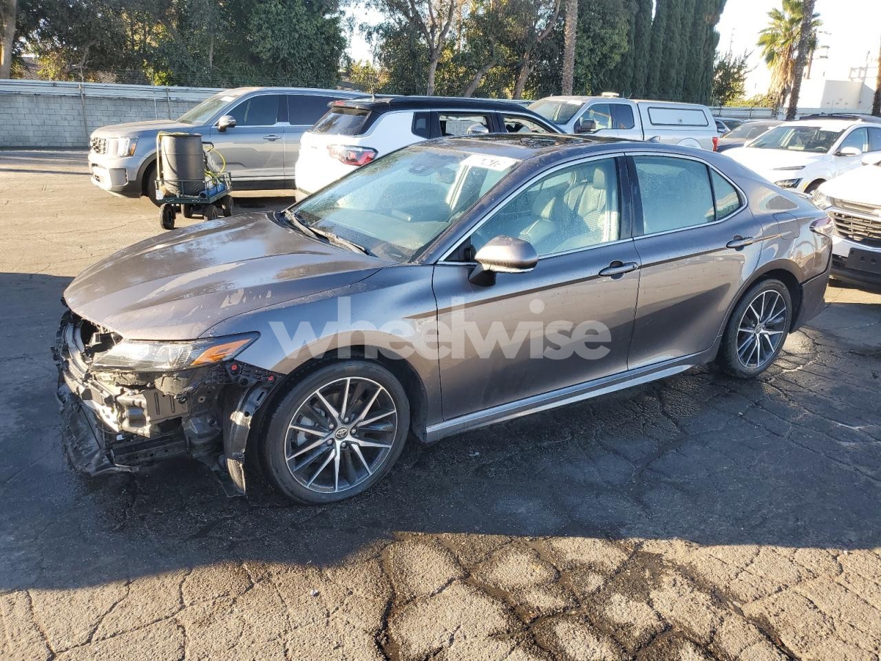 2022 TOYOTA CAMRY NIGHT SHADE (VIN 4T1S31AKXNU582822) main photo