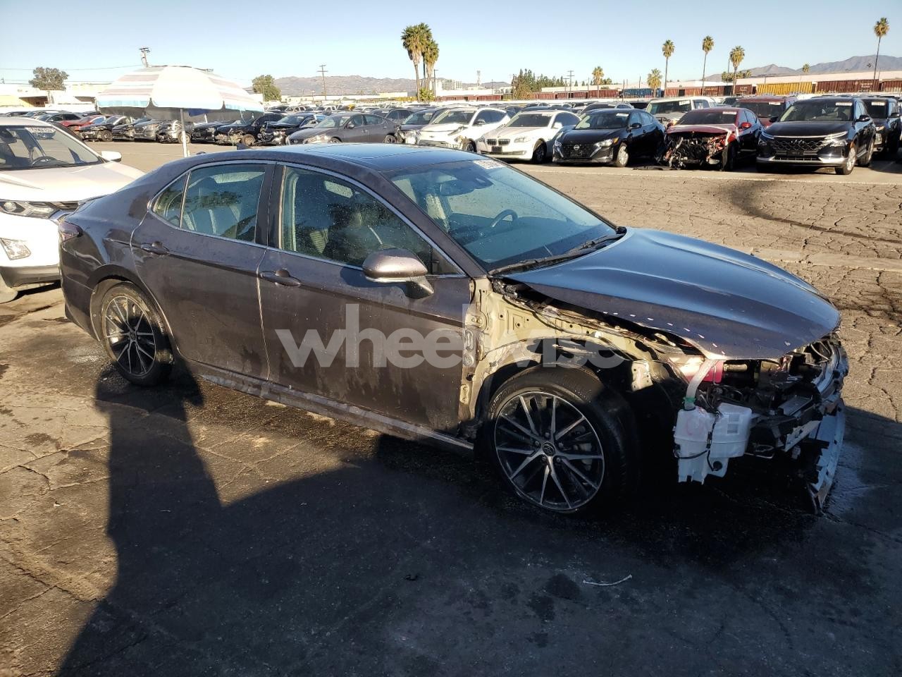 Photo 4 of 2022 TOYOTA CAMRY NIGHT SHADE (VIN 4T1S31AKXNU582822)