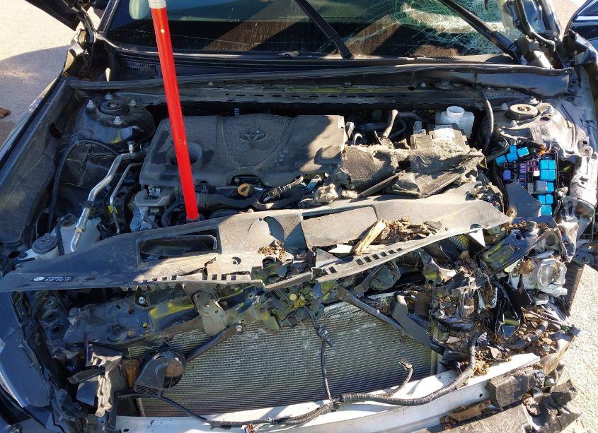 Photo 10 of 2024 Toyota Camry SE (VIN 4T1T11AK9RU891066)