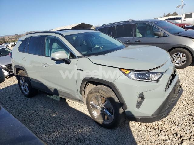 2021 TOYOTA RAV4 XLE PREMIUM (VIN 4T3B6RFV2MU048146) main photo