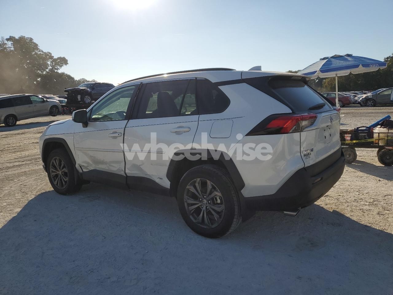 Photo 2 of 2024 TOYOTA RAV4 XLE PREMIUM (VIN 4T3B6RFV2RU140414)