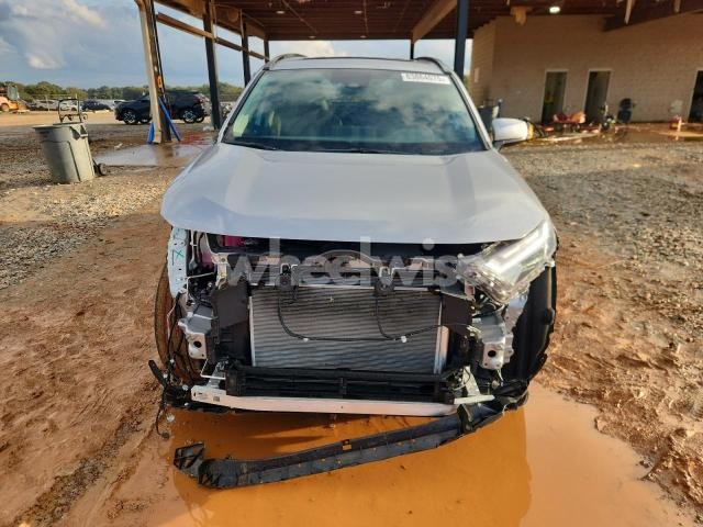 2024 TOYOTA RAV4 XLE PREMIUM (VIN 4T3B6RFV5RU149009) main photo