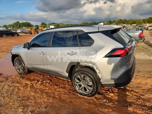 Photo 13 of 2024 TOYOTA RAV4 XLE PREMIUM (VIN 4T3B6RFV5RU149009)